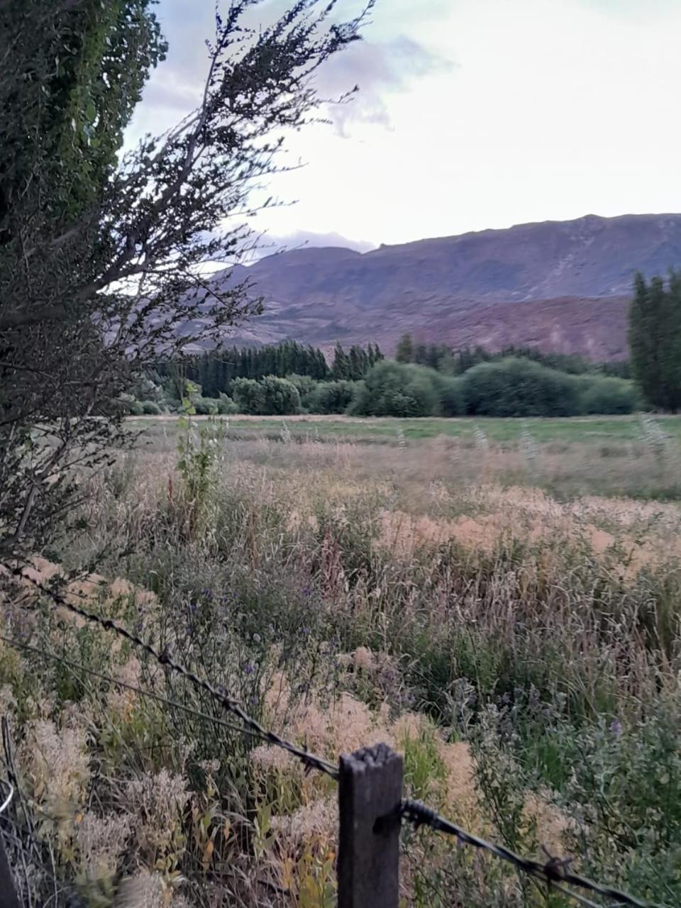 Calafates Y Lavandas チレチコ エクステリア 写真