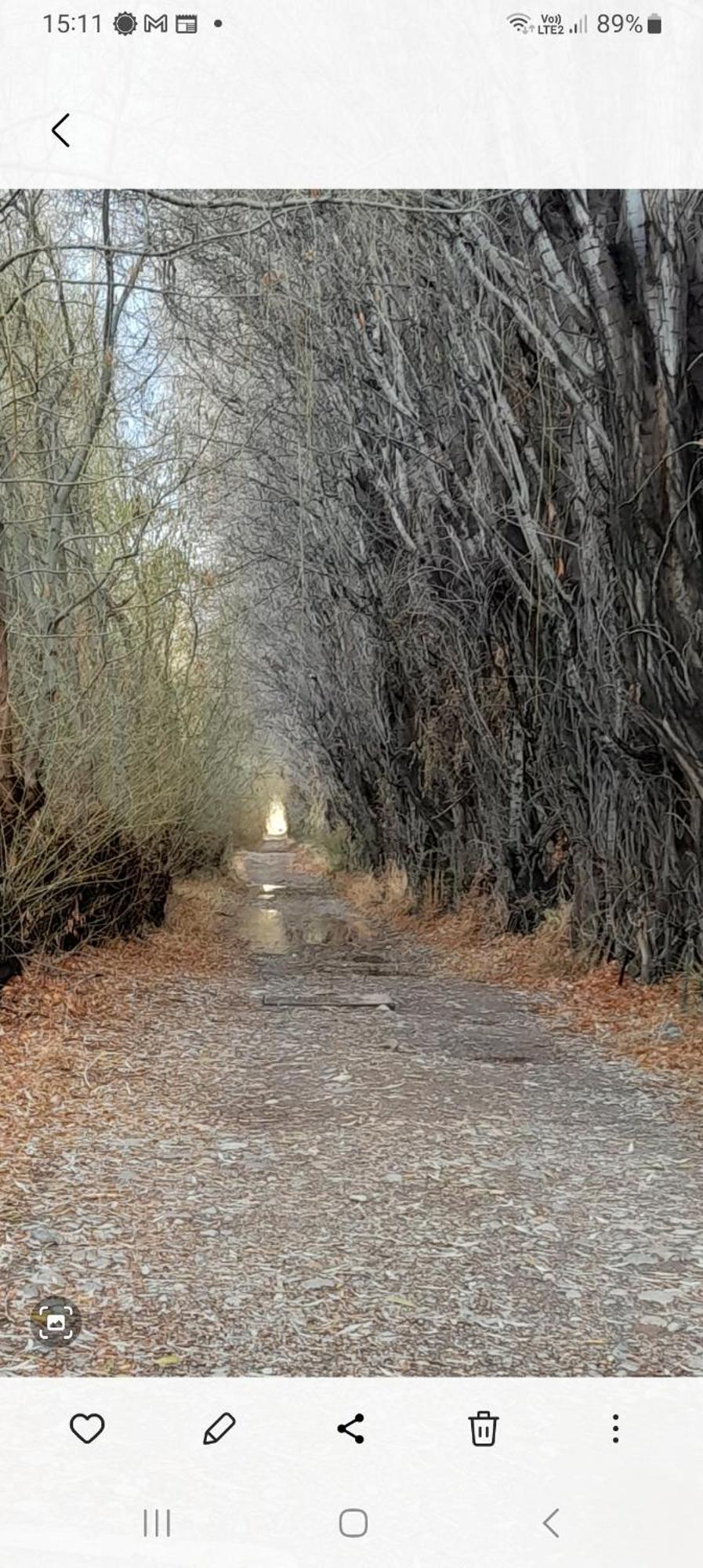 Calafates Y Lavandas チレチコ エクステリア 写真